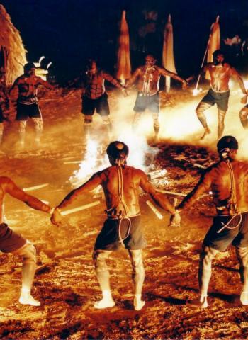 Rituais Indigenas