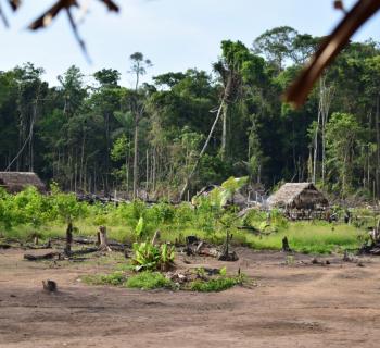 Povo Kanamari/Tukuna